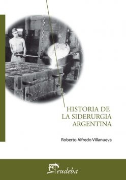 Historia de la siderurgia argentina, Roberto Villanueva