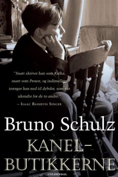 Kanelbutikkerne, Bruno Schulz