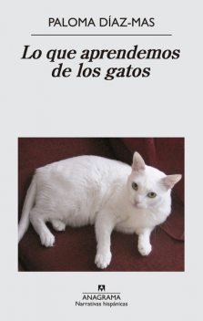 Lo que aprendemos de los gatos, Paloma Díaz-Mas