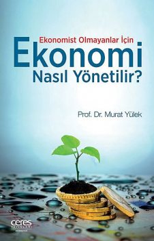Ekonomi Nasıl Yönetilir, Murat Yülek