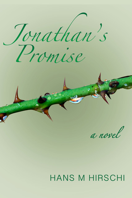 Jonathan's Promise, Hans M Hirschi