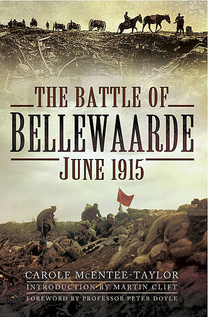 The Battle of Bellewaarde, June 1915, Carole Mcentee-Taylor