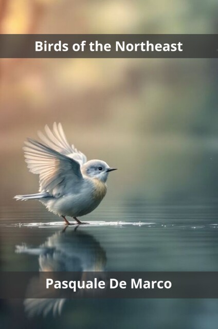 Birds of the Northeast, Pasquale De Marco