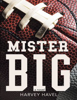Mister Big: A Novel, Harvey Havel