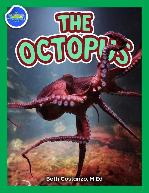 The Octopus ages 2–4, Beth Costanzo