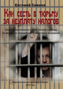 Как сесть в тюрьму за неуплату налогов, Евгений Сивков