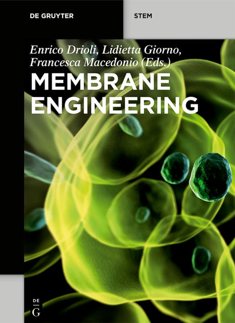 Membrane Engineering, Enrico Drioli, Francesca Macedonio, Lidietta Giorno
