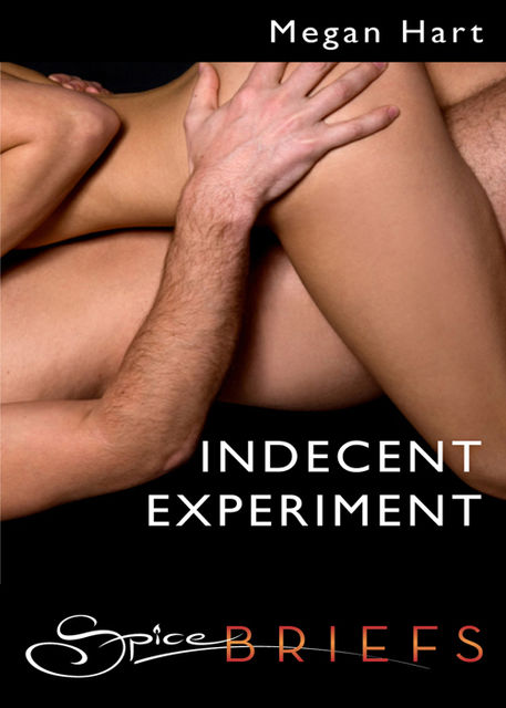 Indecent Experiment, Megan Hart