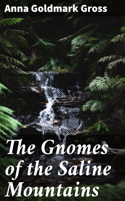 The Gnomes of the Saline Mountains, Anna Goldmark Gross