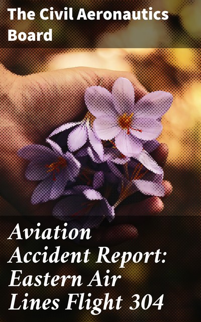 Aviation Accident Report: Eastern Air Lines Flight 304, The Civil Aeronautics Board