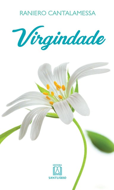 Virgindade, Raniero Cantalamessa