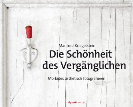 Die Schönheit des Vergänglichen, Manfred Kriegelstein