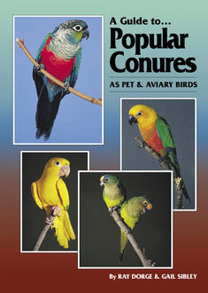 A Guide to Popular Conures as Pet and Aviary Birds, Gail Sibley, Ray Dorge