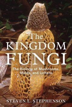 The Kingdom Fungi, Steven L.Stephenson