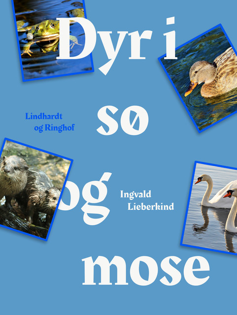 Dyr i sø og mose, Ingvald Lieberkind