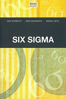 Six sigma, Ane Storm Ry