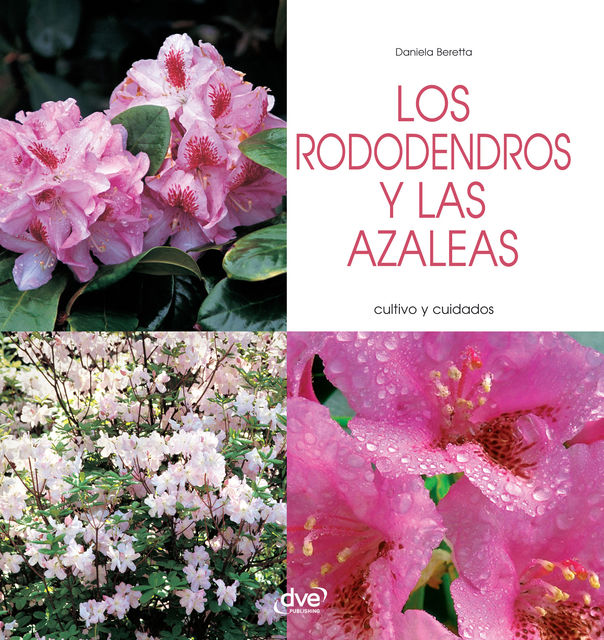Los rododendros y las azaleas – Cultivo y cuidados, Daniela Beretta