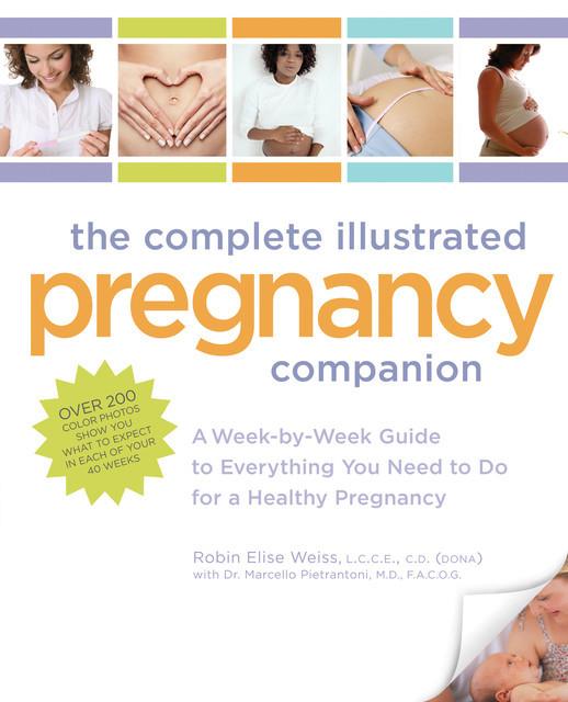 The Complete Illustrated Pregnancy Companion, Robin Weiss