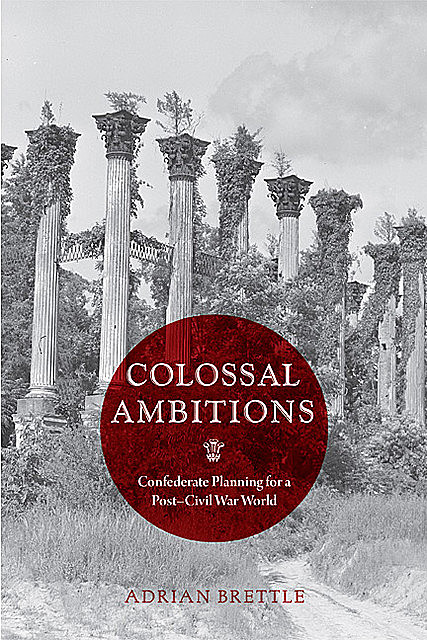 Colossal Ambitions, Adrian Brettle