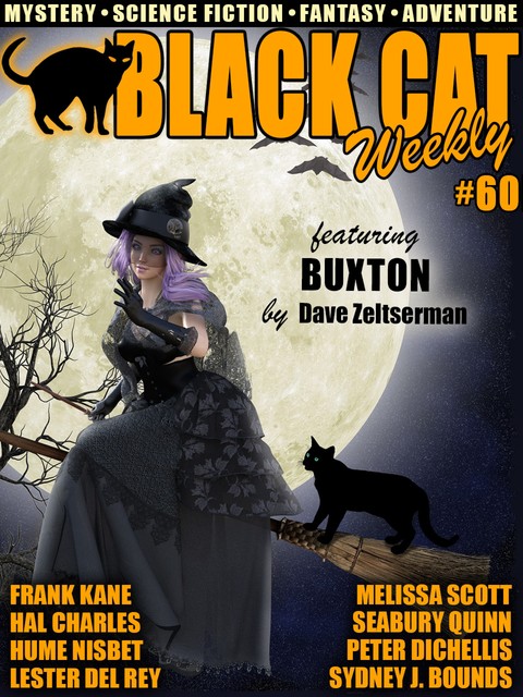 Black Cat Weekly #60, Wildside Press