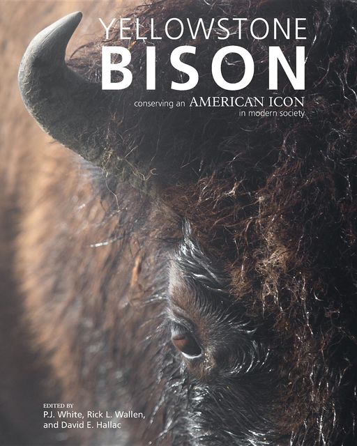 Yellowstone Bison, David E. Hallac, P.J. White, Rick L. Wallen