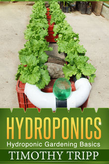 Hydroponics, Timothy Tripp