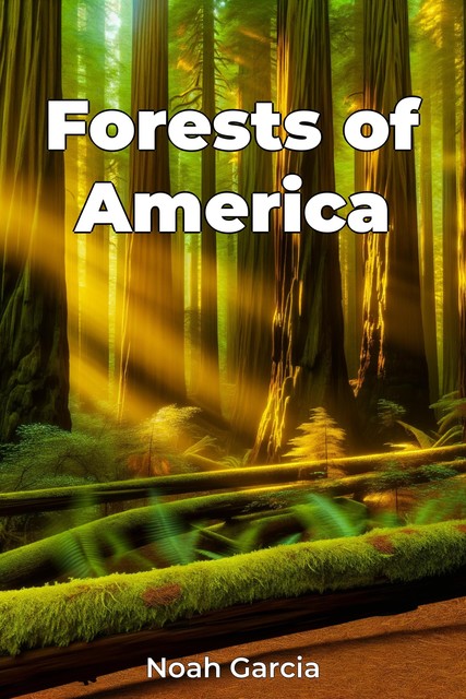 Forests of America, Noah Garcia