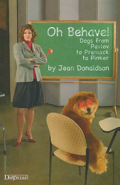 OH BEHAVE, Jean Donaldson