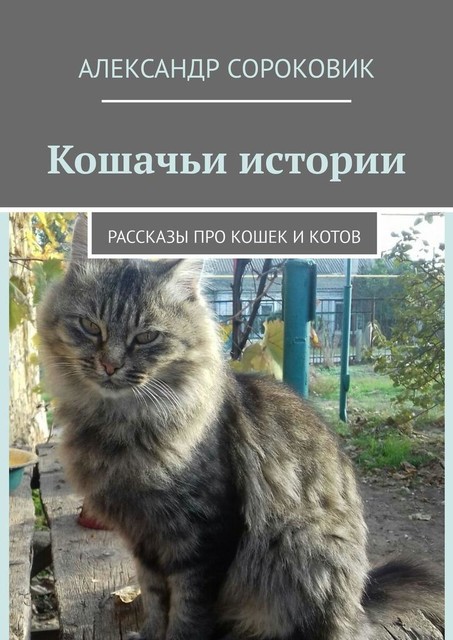 Кошачьи истории, Александр Сороковик