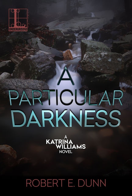 A Particular Darkness, Robert Dunn