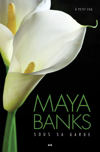 Sous sa garde, Maya Banks