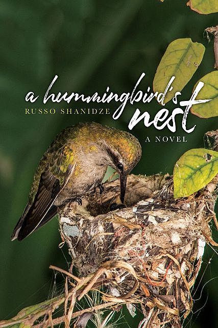 A Hummingbird's Nest, Russo Shanidze