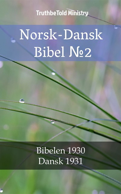 Norsk-Dansk Bibel №2, Joern Andre Halseth