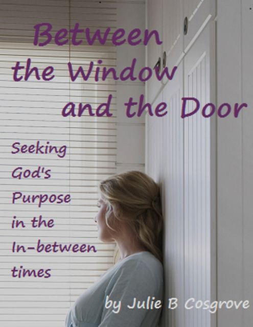 Between the Window and the Door, Julie B Cosgrove