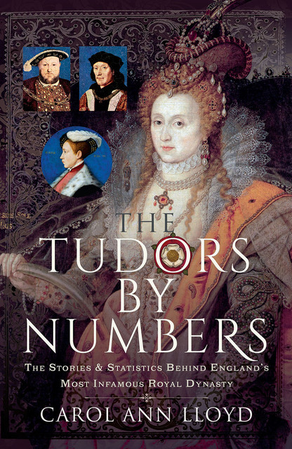 The Tudors by Numbers, Carol Lloyd
