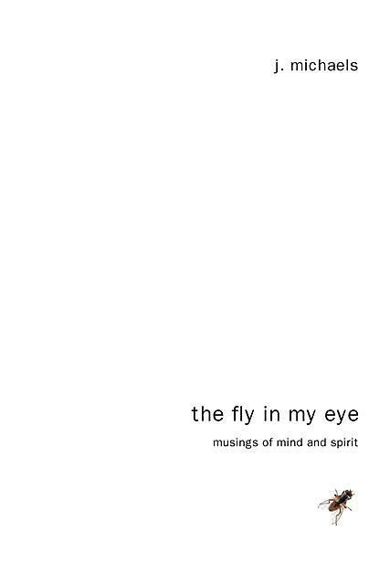 The Fly in My Eye, Jordan Michaels