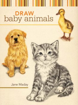 Draw Baby Animals, Jane Maday