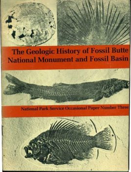 The Geological History of Fossil Butte National Monument and Fossil Basin, Michael Casilliano