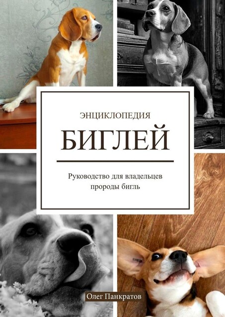 Энциклопедия биглей. Руководство для владельцев собак породы бигль, Олег Панкратов