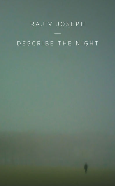 Describe the Night, Rajiv Joseph