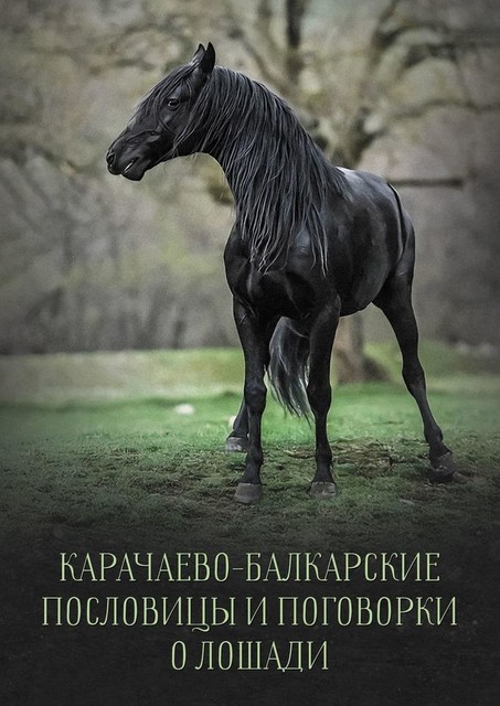 Карачаево-Балкарские пословицы и поговорки о лошади, Тимур Дотдаев