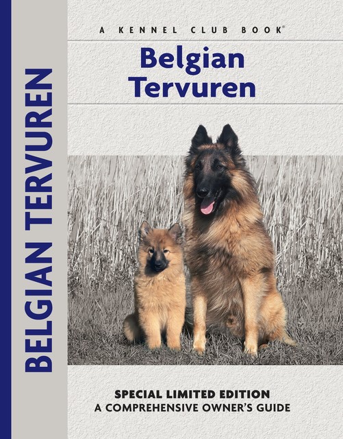 Belgian Tervuren, Robert Pollet