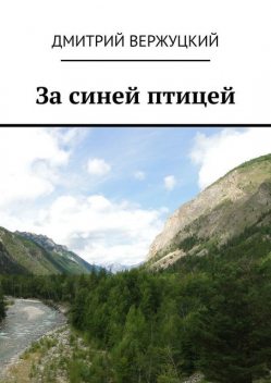 За синей птицей, Дмитрий Вержуцкий