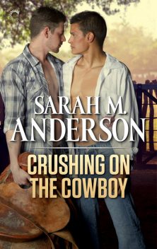Crushing on the Cowboy, Sarah M. Anderson