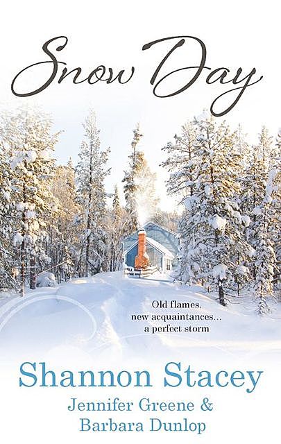 Snow Day, Barbara Dunlop, Shannon Stacey, Jennifer Greene