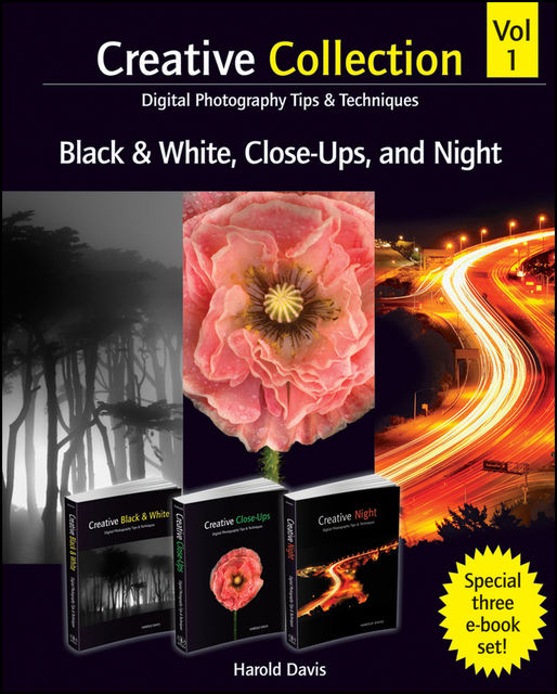 Creative Collection, Black and White, Close-Ups, and Night, Harold Davis