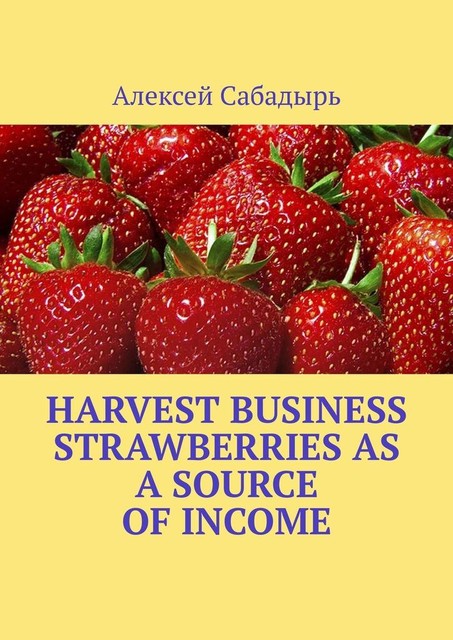 Harvest Business Strawberries as a Source of Income, Алексей Сабадырь