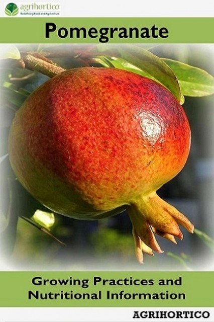 Pomegranate, Agrihortico CPL