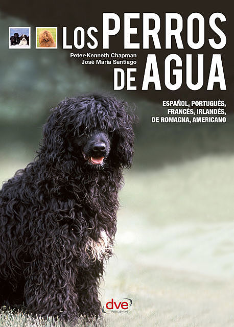 Los perros de agua – El perro de Obama, José María Santiago, Peter-Kenneth Chapman