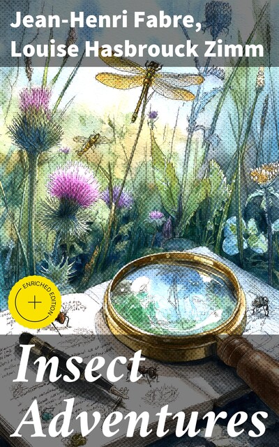 Insect Adventures, Jean-Henri Fabre, Louise Hasbrouck Zimm